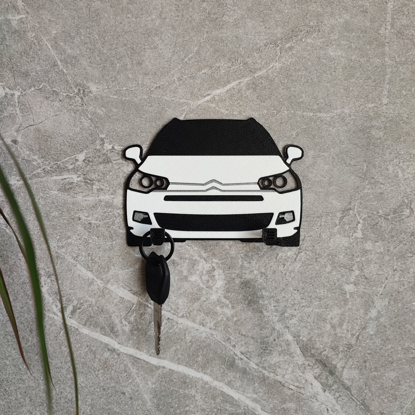 Spalvota Kabykla Citroen C5